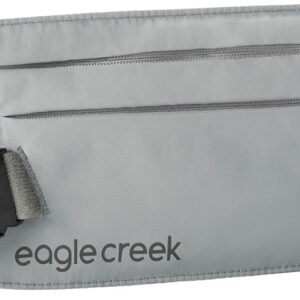 Travel Security